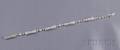 Art Deco Platinum and Diamond Bracelet