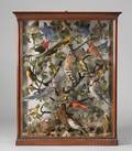 Late Victorian Glazed Walnut Cased Diorama of Thirtyfour American Birds