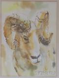 Framed Watercolor on Paper Portrait of a Ram