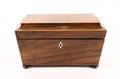 Rosewood Eng Regency Sarcophagus Form Tea Caddy