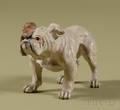 Viennese Coldpainted Bronze Figure of Bulldog