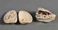 Two Ivory Netsuke