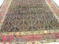 Lillihan Carpet