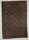 Fereghan Rug