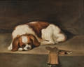 English School 20th Century Portrait of a King Charles Spaniel
