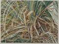 Karen Jacobs American 20th21st Century Pampas Series No 26