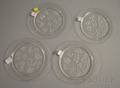 Set of Four Modern Lalique Colorless Molded Muguet Pattern Glass Dessert Plates