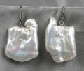 Large Freshwater Pearl Earpendants