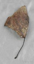Oxidized Metal Leaf Brooch John Iversen