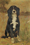 William Baxter Palmer Closson American 18481926 Portrait of a Spaniel