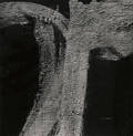 Aaron Siskind American 19031991 Rome 150
