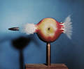 Harold Eugene Edgerton American 19031990 Bullet Piercing an Apple