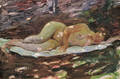Sigismund Ivanowski American 18751944 Nude Reclining in a Landscape