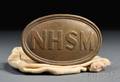 Brass and Pewter NHSM Buckle