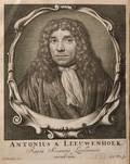 Leeuwenhoek Anton van 16321723 Ontledingen en Ontdekkingen
