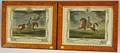 Pair of Birdseye Maple Veneerframed European Handcolored Equestrian Prints