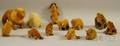 Twelve Assorted Cloth Animal Toy Figures