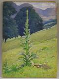 Harold Broadfield Warren American 18591934 Flowering Plant in Landscape