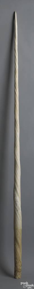 Narwhal tusk