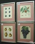Eight color lithograph botanical prints