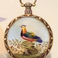 The Mandarin Duck Bovet