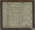 American silk on linen Gallison family genealogy needlework