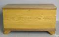 Pennsylvania painted poplar blanket chest
