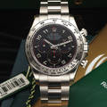 ROLEX Ref 116509