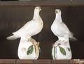 Two similar chalkware pigeons 19th c