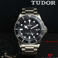 Tudor Ref 25500T