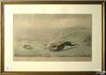 Group of 6 etchings