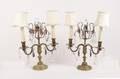 Pair of Gilt Bronze Candelabras wCrystals