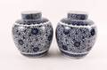 Pair of Early 20th C Blue  White Ginger Jars