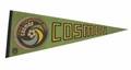 PEL 1977 NEW YORK COSMOS NASL CHAMPIONS PENNANT