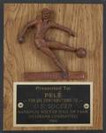 PEL 1984 US SOCCER NATIONAL HALL OF FAME PLAQUE