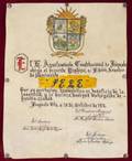 PEL 1976 CITY OF IRAPUATO MEXICO HONORARY DIPLOMA