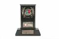 PEL MERITIENSE TRIBUTE TROPHY