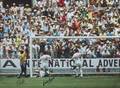 PEL AND GORDON BANKS SIGNED 1970 WORLD CUP SAVE CANVAS