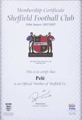 PEL 2007 SHEFFIELD FOOTBALL CLUB MEMBERSHIP CERTIFICATE
